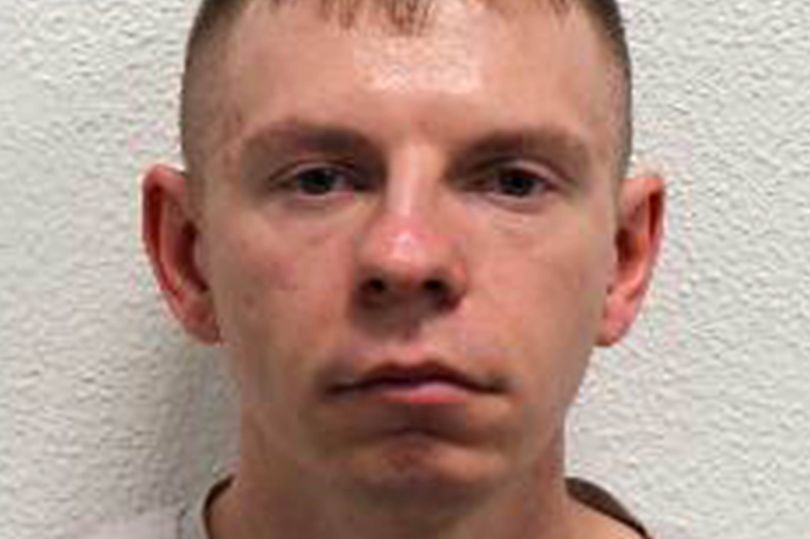 Monkey torture ringleader jailed as judge slams animal cruelty ...