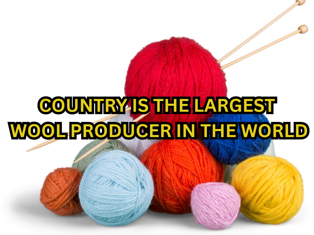 Which country is the largest wool producer in the world? Check top 10 ...