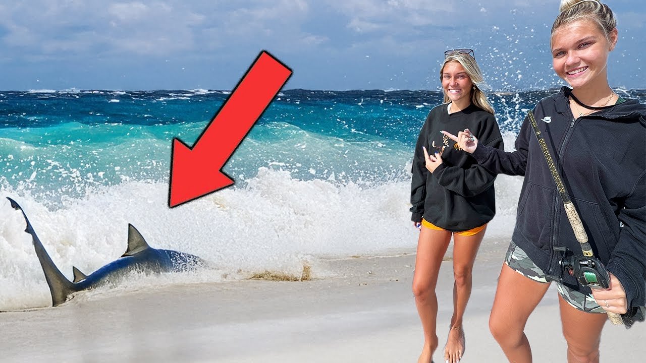 Shark fishing on the water
