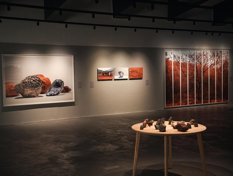 Hampi Art Labs unveils Red Rocks, Rivers and Monkeys, a new exhibition