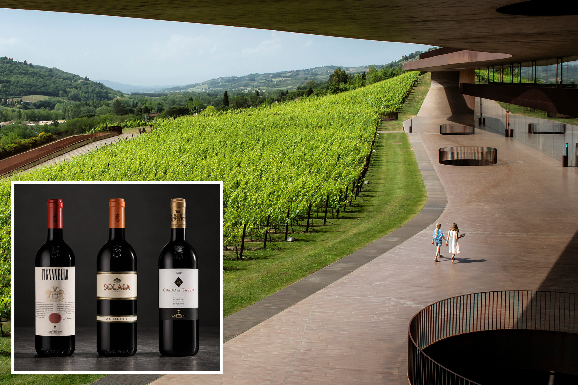 Thieves pull off Italy’s biggest-ever wine heist, stealing 30,000 ...