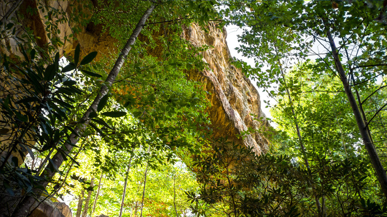 An under-the-radar charming Kentucky lake town is a serene gateway to ...
