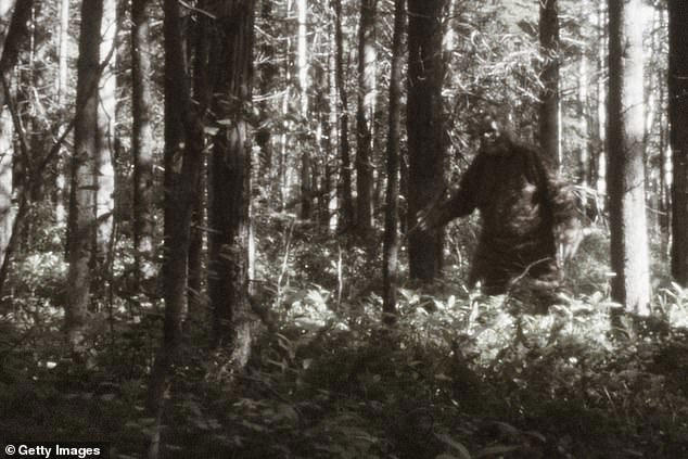Bigfoot sightings in 14 US states reveal eerie pattern sparking claims ...