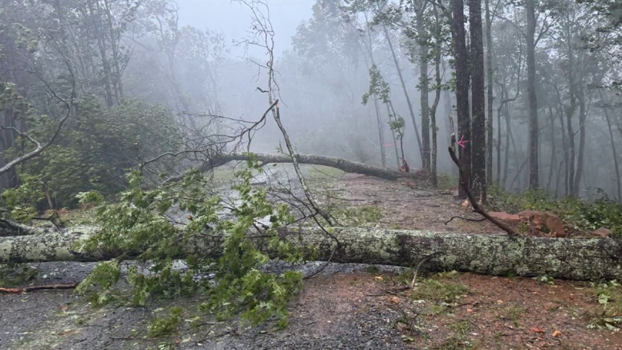 Fallen trees block northern Georgia roads
