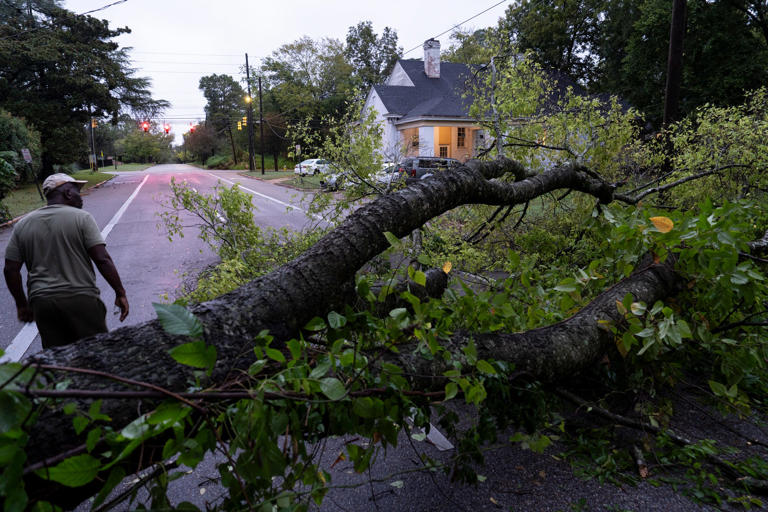 Hurricane Isaias downs trees, power lines across central Alabama