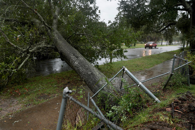 Isaias downgraded after making landfall in Florida, NES urges caution