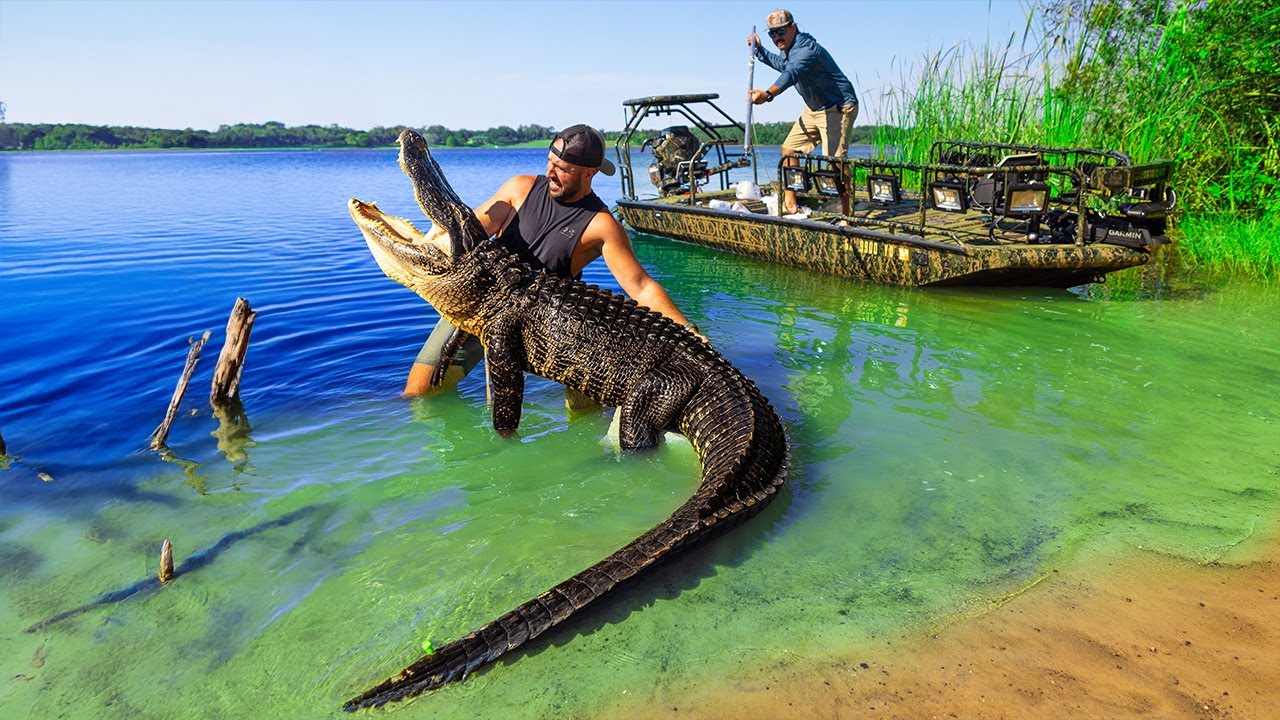 River treasure hunt led to a huge gator 🐊