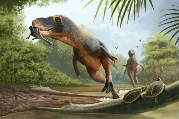 Uma ilustração de um tiranossauro a atacar uma antiga ave mergulhadora. Andrey Atuchin/Field Museum