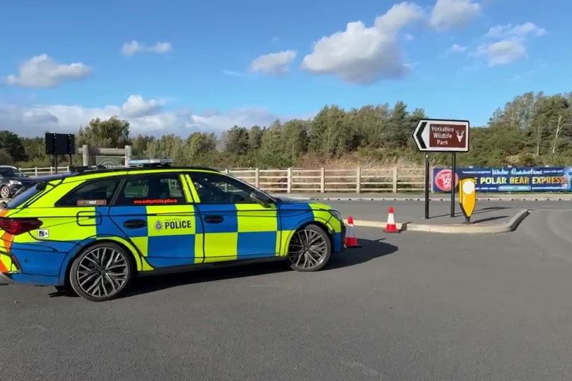 Man dies after entering tiger enclosure and being mauled at wildlife park