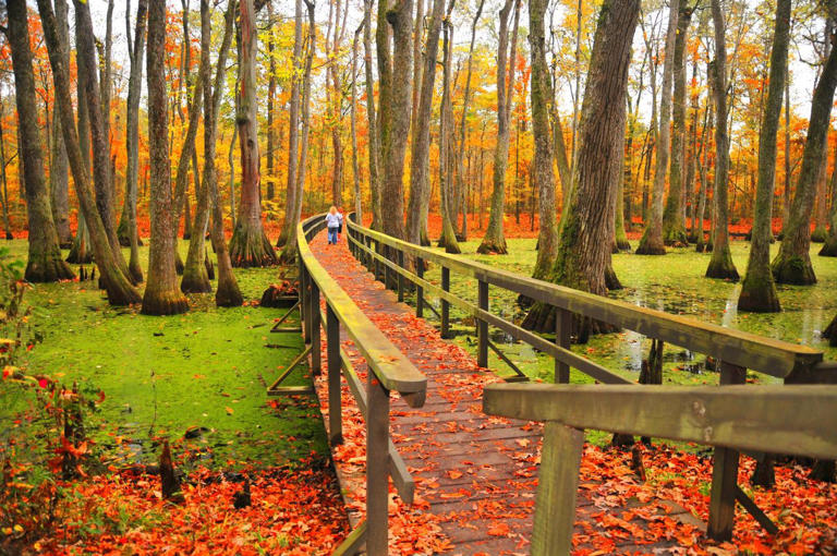 What temperature makes leaves change color?