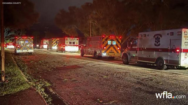 Florida woman killed by falling tree during Hurricane Isaias landfall