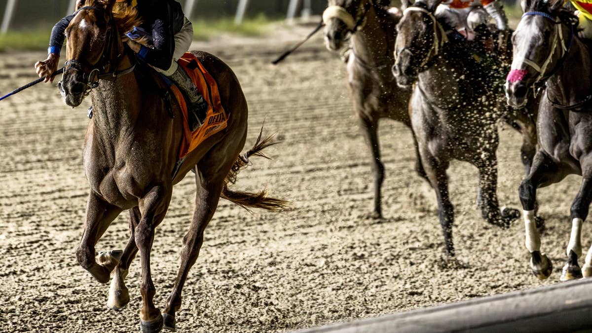 Little Miss Curlin denies Secret Faith repeat in Delta Downs' Magnolia