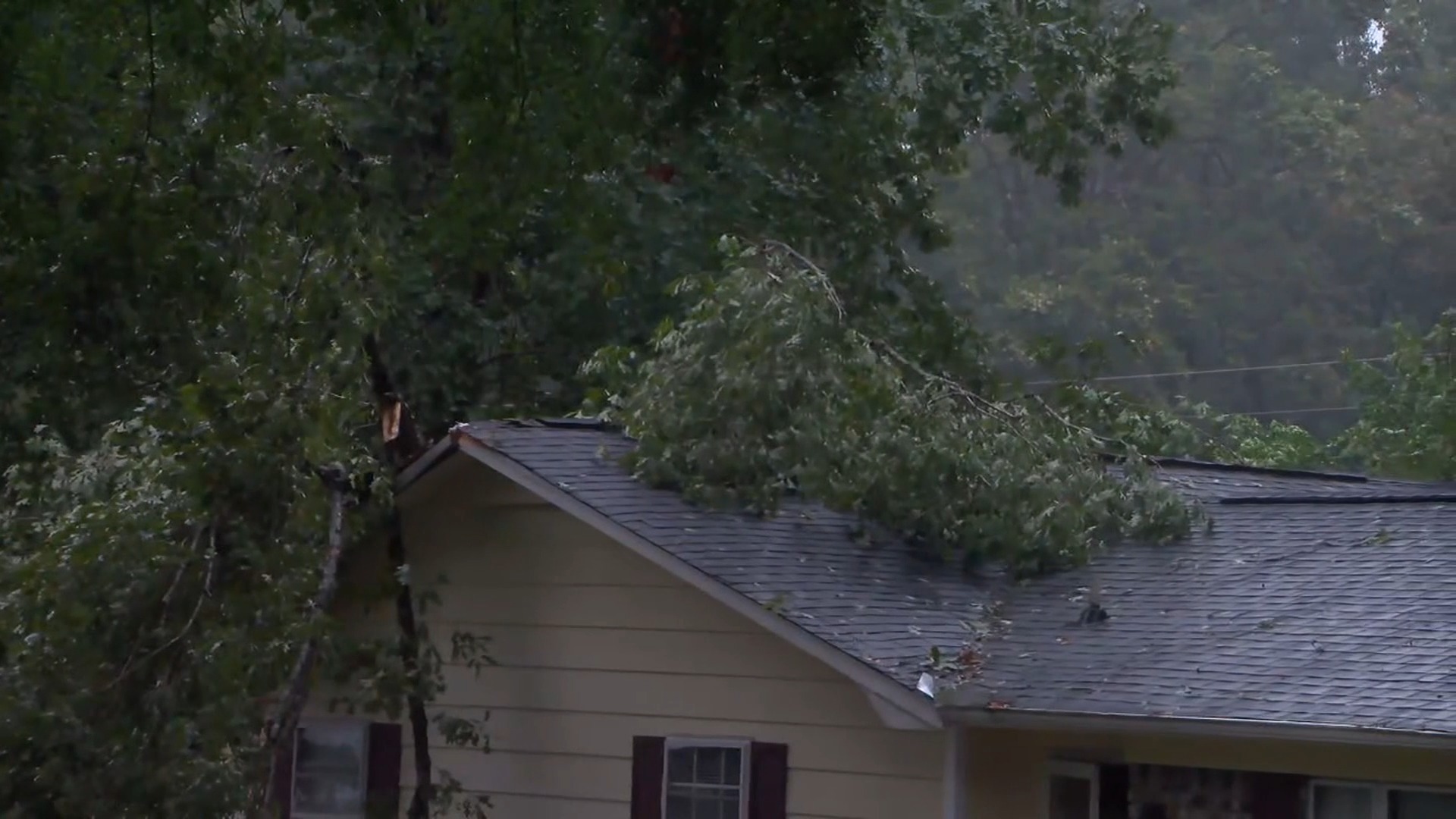 One dead after tree falls on house in Birmingham during Isaias