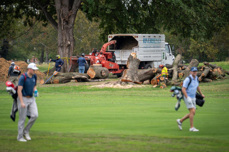 Park service could remove more than 500 trees at historic golf course ...