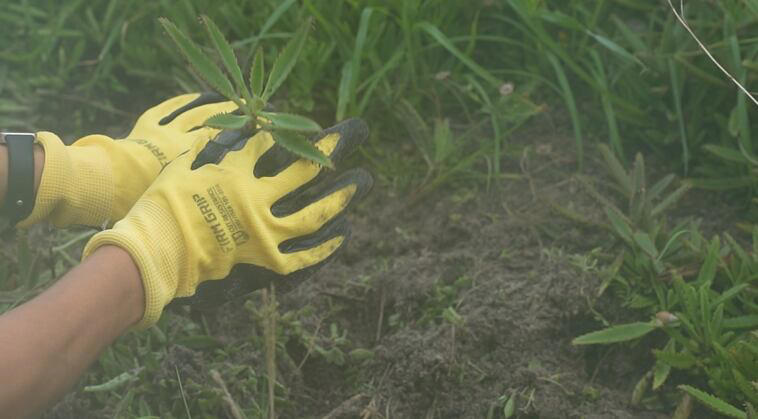 Isaias serves as a reminder of the importance of these volunteers’ work ...