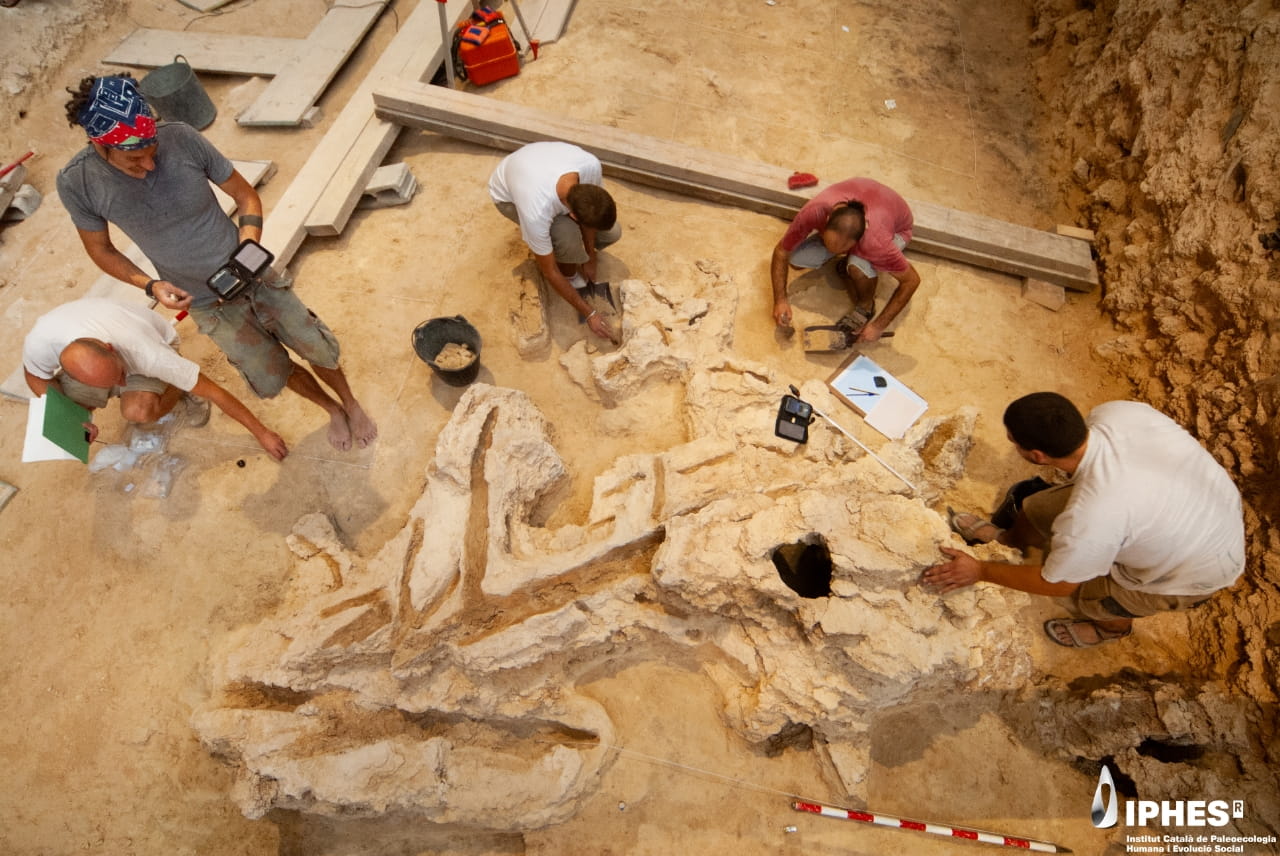 Spanish rock shelter preserves rare evidence of Neanderthal woodworking