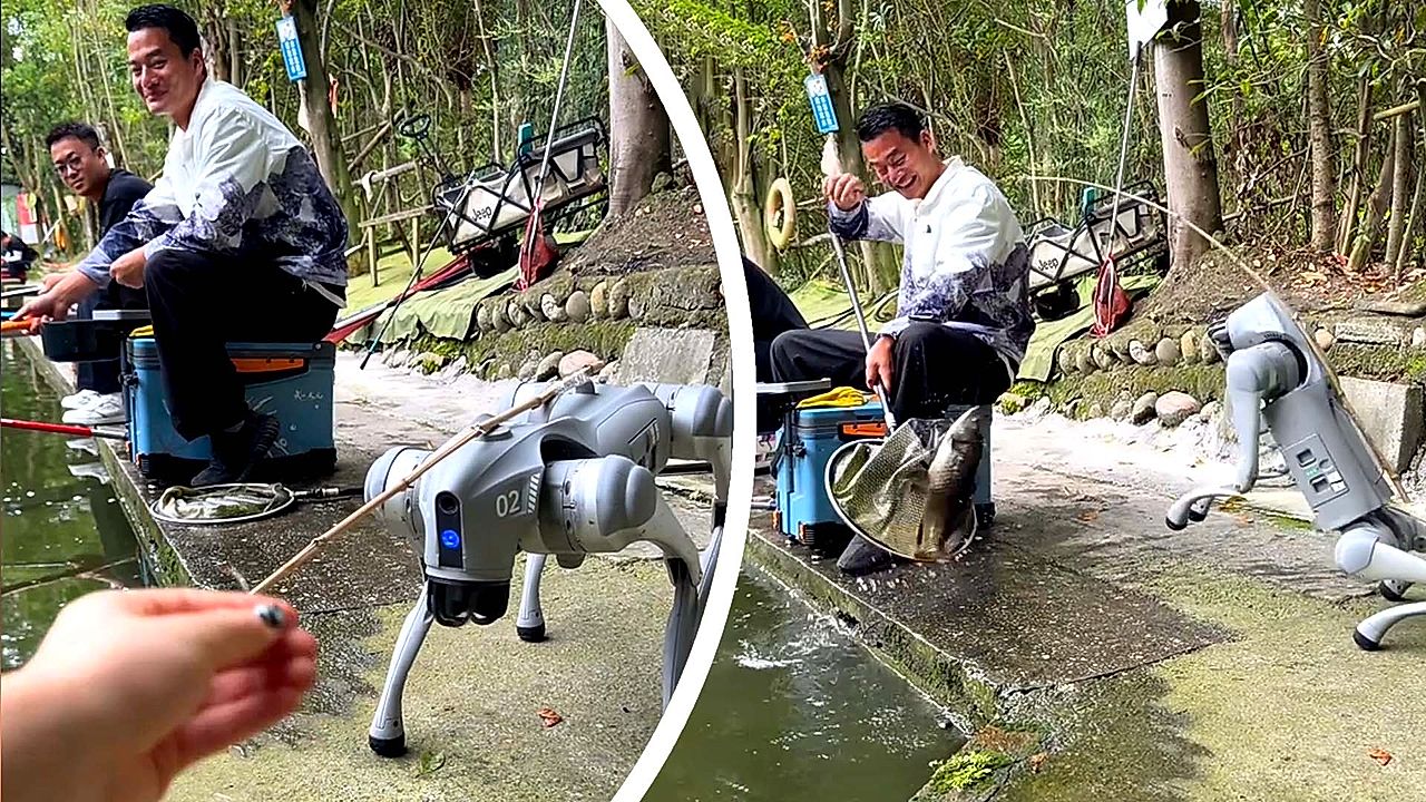 Robot dog goes fishing in China — and actually catches one