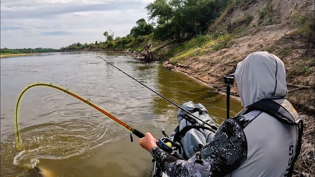 Catfish rig: 3-way swivels & rattles