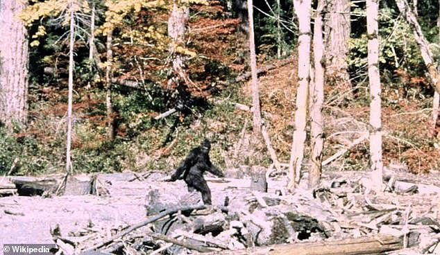 Bigfoot sightings in 14 US states reveal eerie pattern sparking claims ...