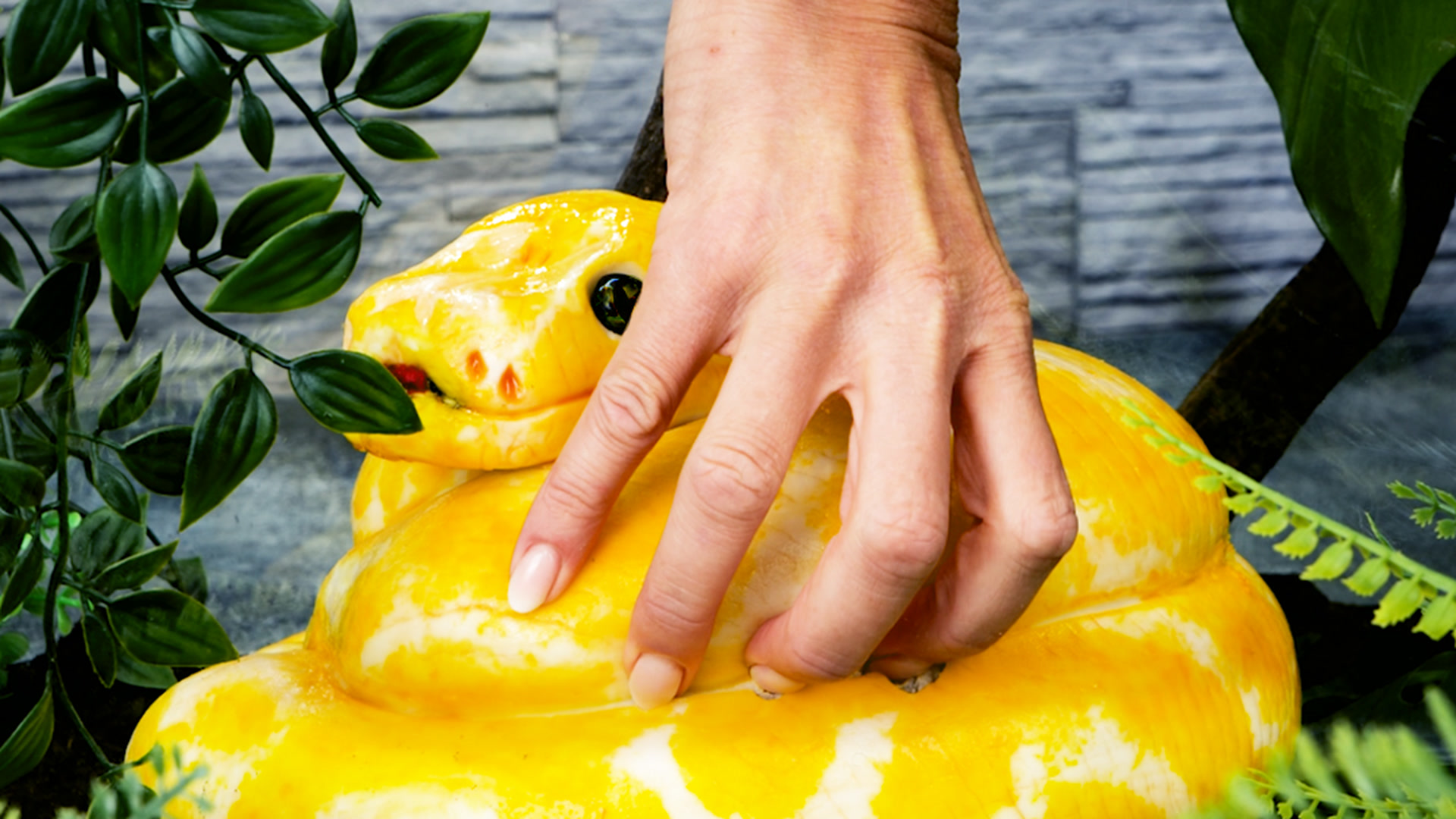 Incredible realistic cake that will leave you speechless! Try and spot ...