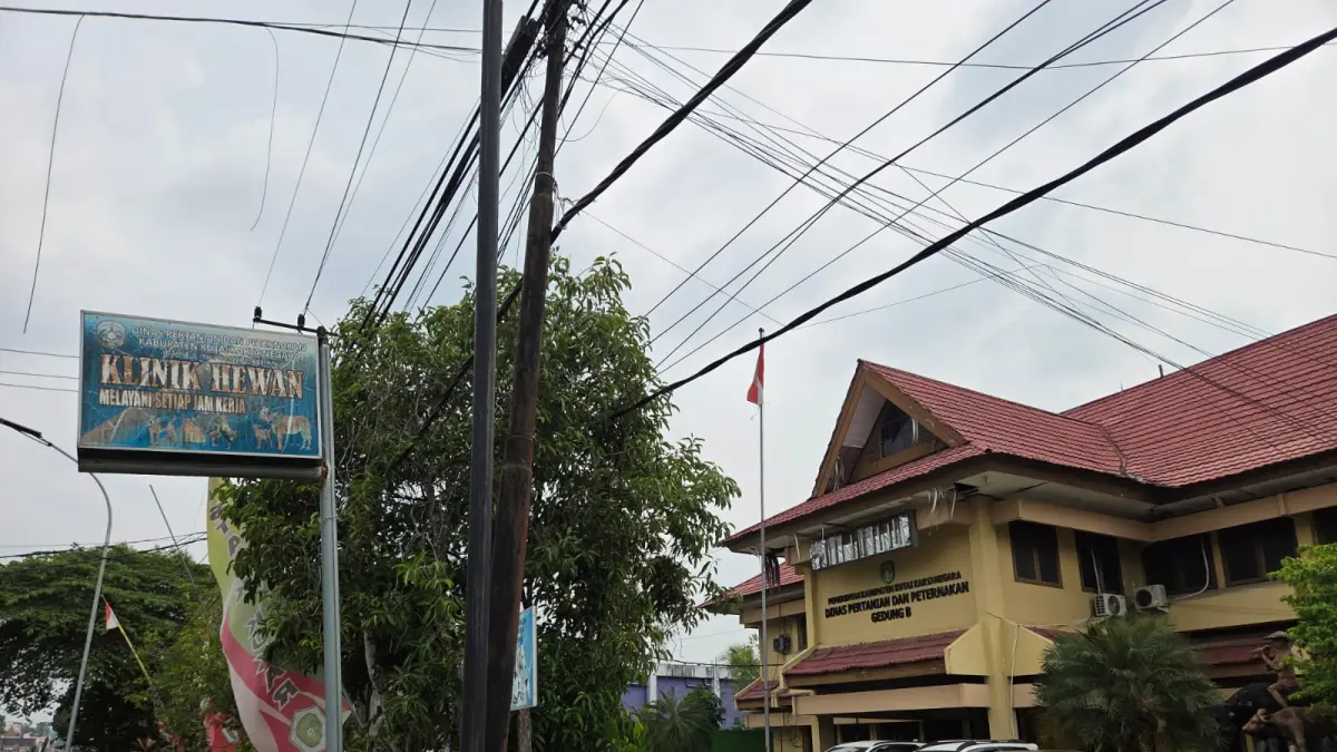 Mau vaksinasi hewan gratis? Warga Kukar cukup datang ke klinik Distanak