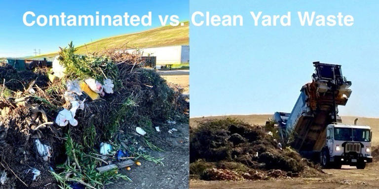 Tehama landfill asks residents to correctly sort fall yard waste