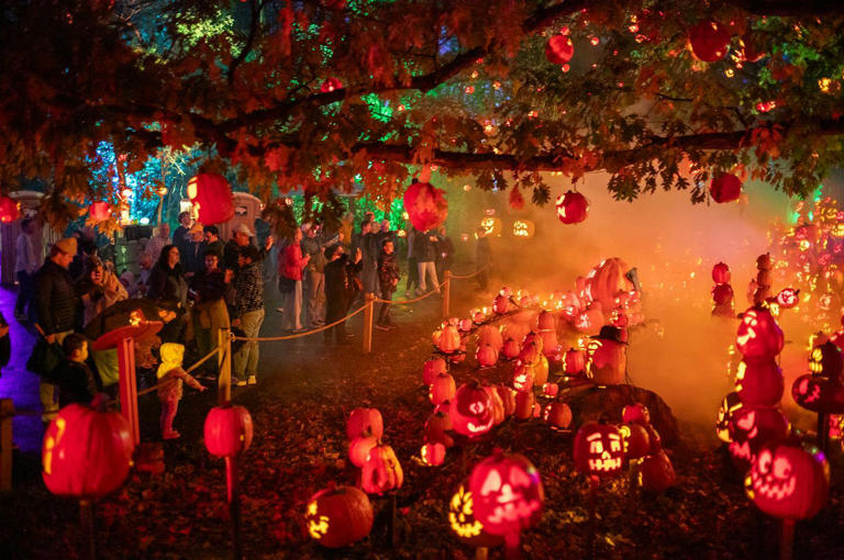 The prettiest pumpkins are in Chaska, Wyoming, Apple Valley and more