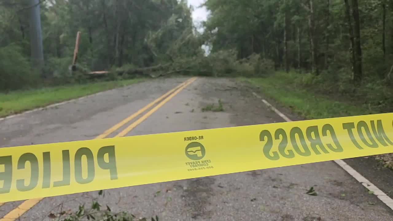 Massive tree down around Ducker and Drew in Houston County 1