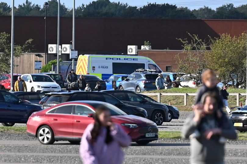 Man dies at wildlife park after jumping into tiger pen as visitors hear ...