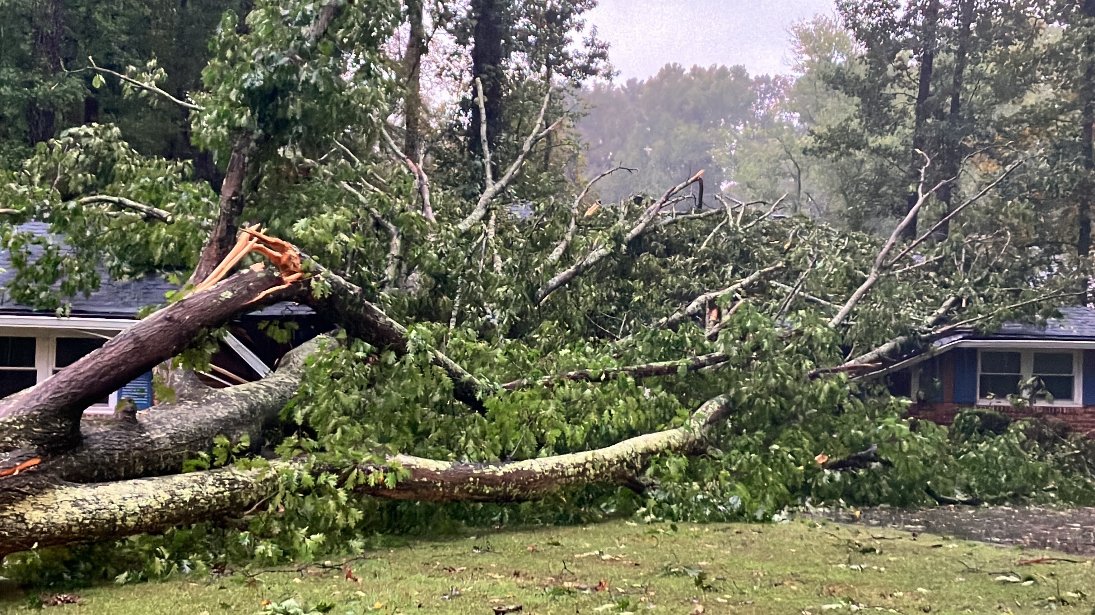 Trump approves emergency declaration federal assistance for Georgia ...