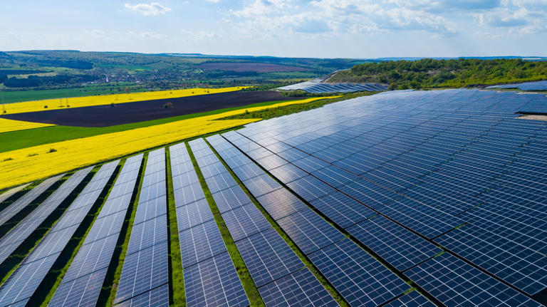 10 downsides to solar farms everyone should be aware of