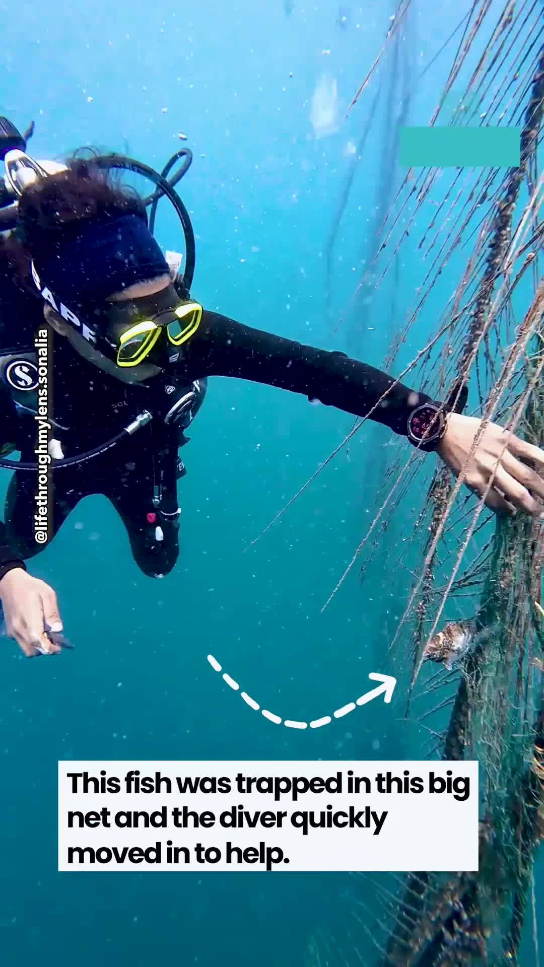 Diver discovers unexpected trouble beneath the waves