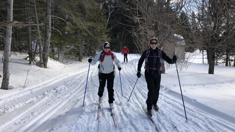 Bientôt un nouveau chalet à Forillon pour les fondeurs
