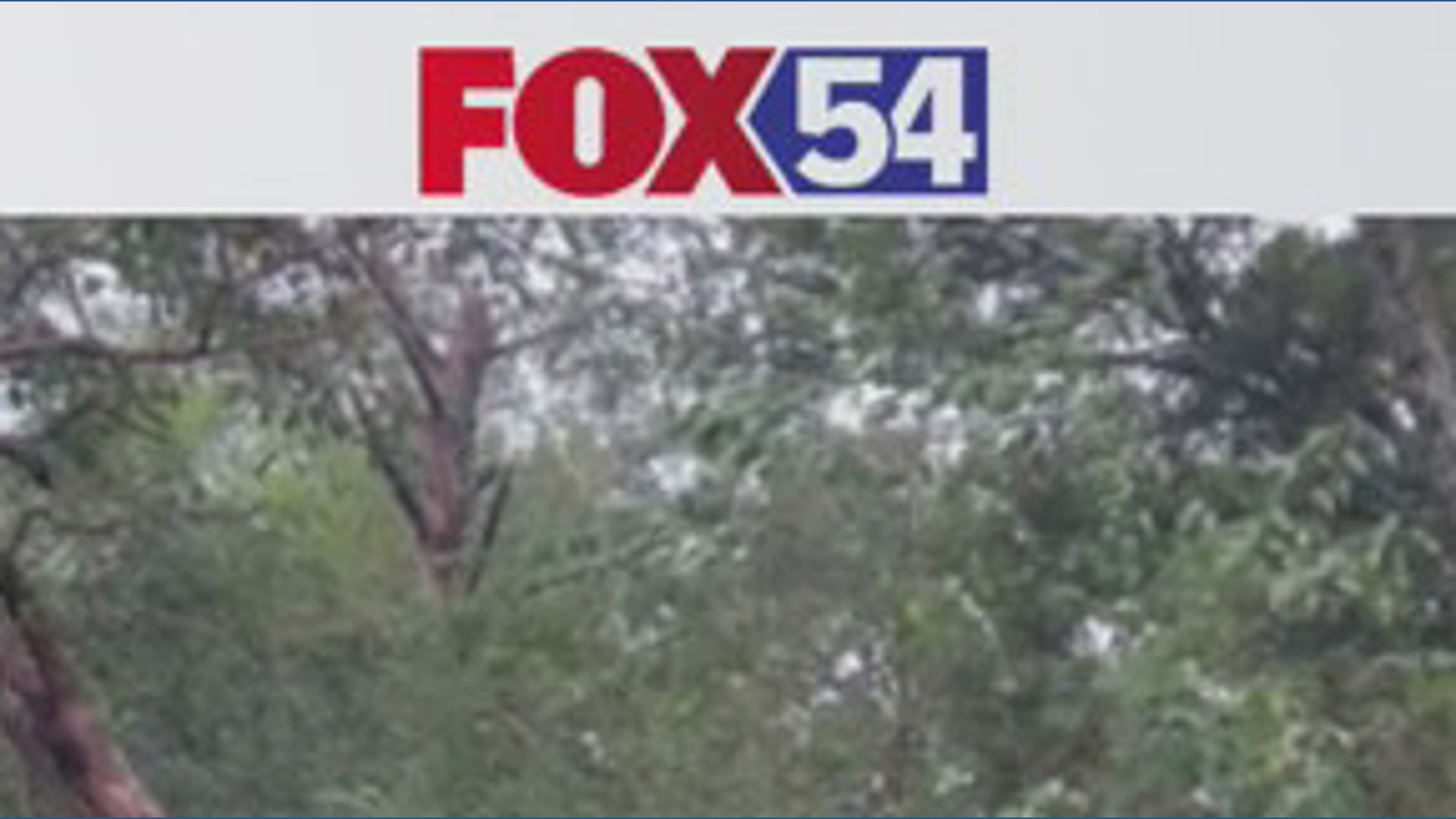 Trees and power lines fall in Jackson County, Ala., during storm