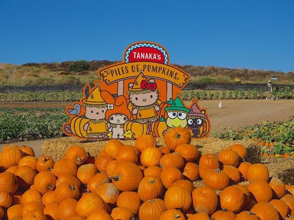 31 frights and delights for Halloween Los Angeles 2026