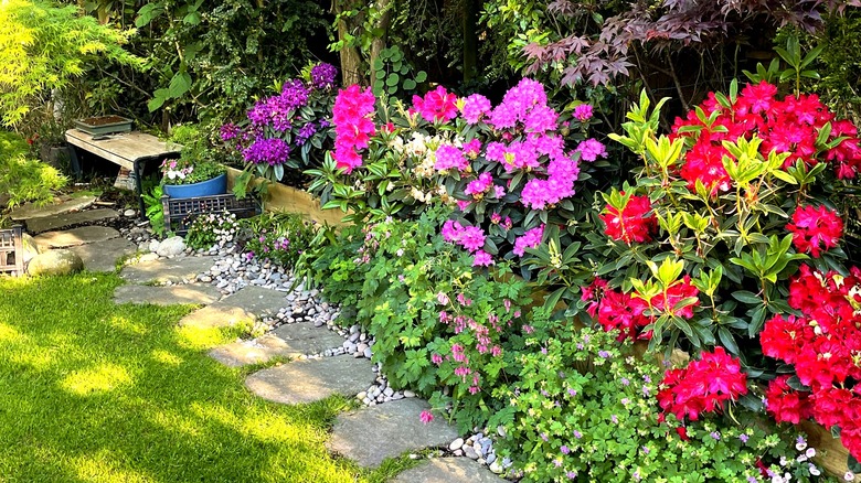 Fill partly shaded fall flower beds with a vibrant ornamental grass