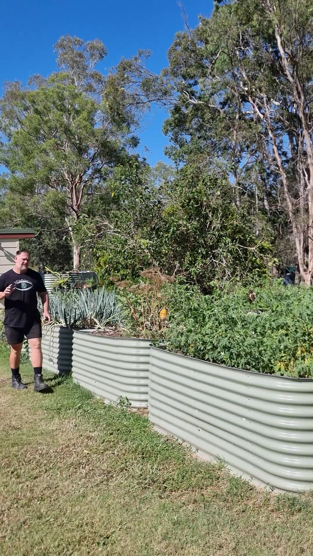 Yes using logs to fill a raised garden bed works