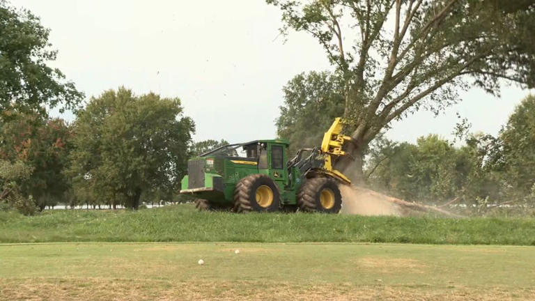 Crews begin clearing 169 trees at DC golf course Trump plans to convert ...