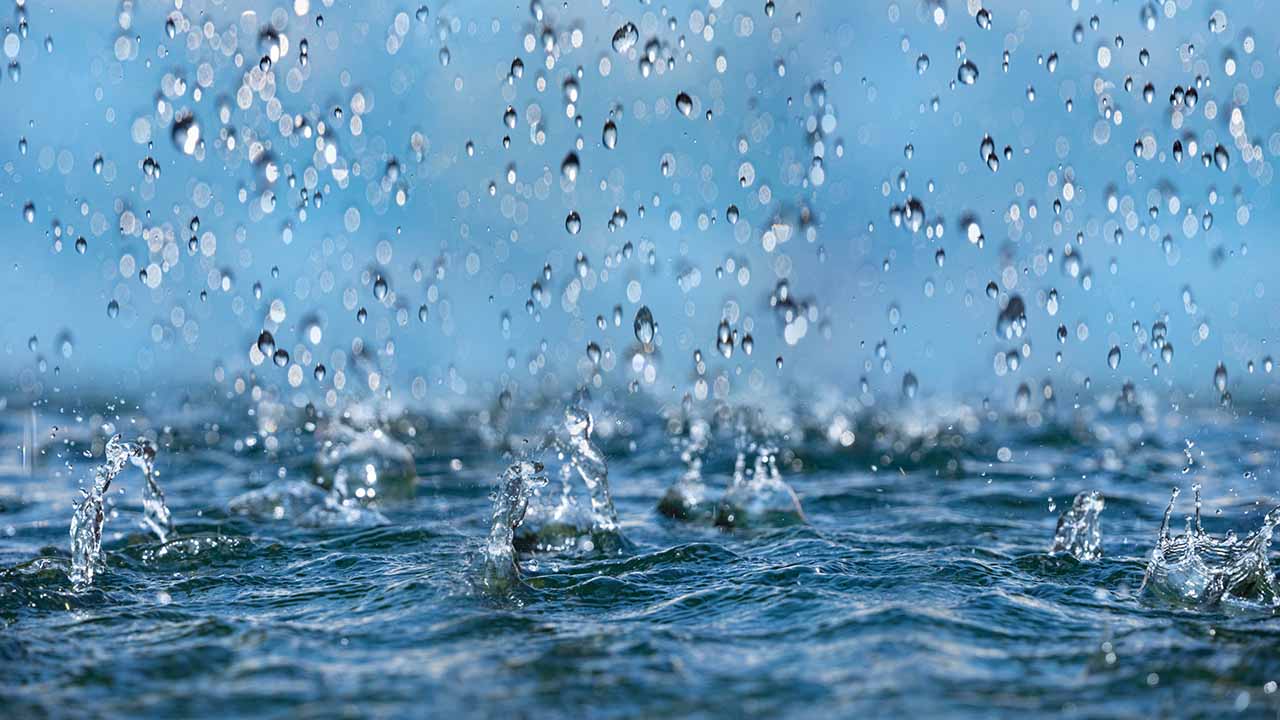 Rain showers and gusty winds tonight