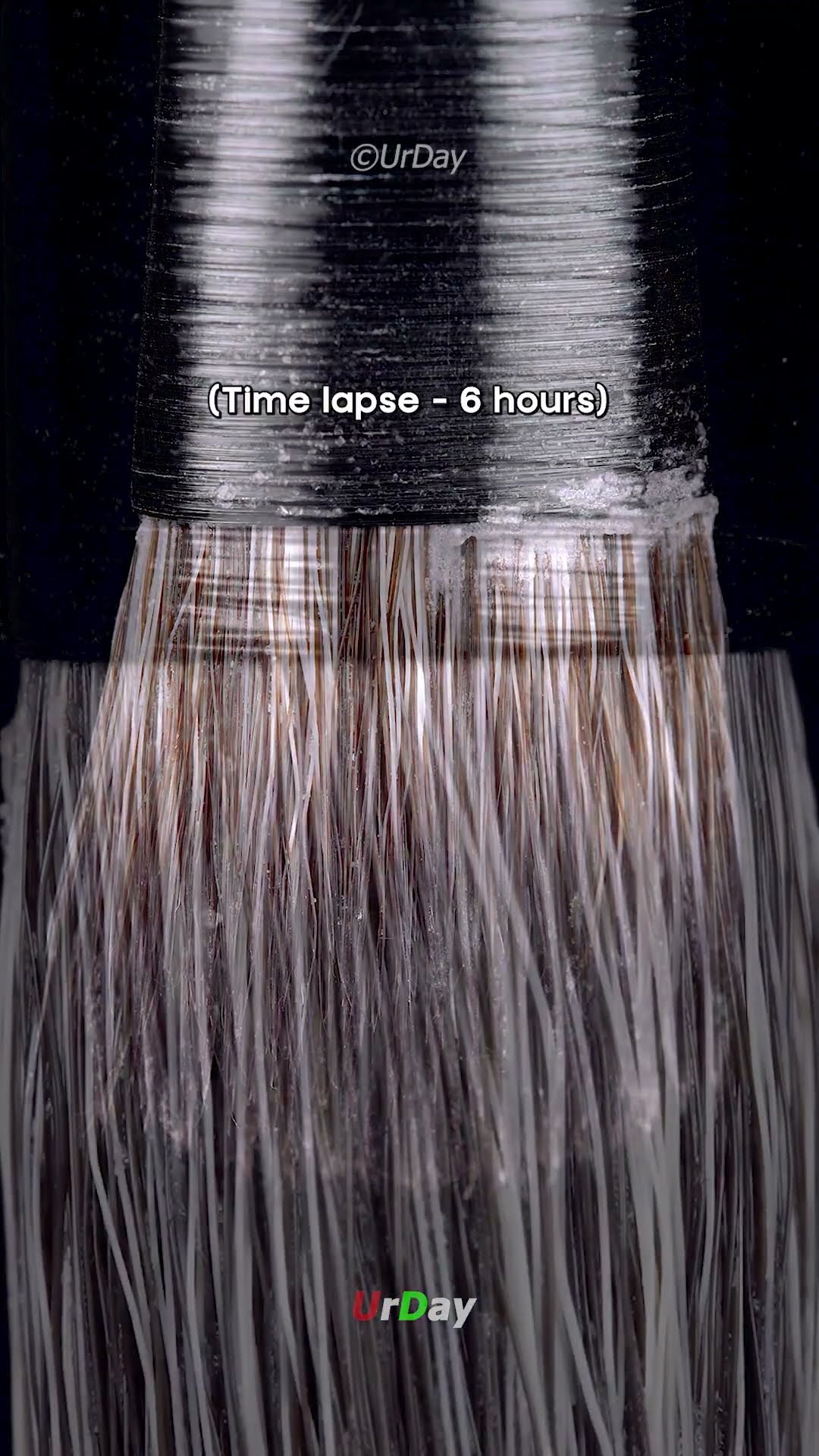 What happens when ocean water dries on hair? Satisfying salt crystal ...