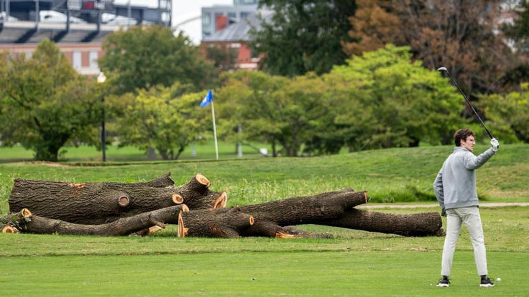 NPS could remove more than 500 trees at historic golf course Trump ...