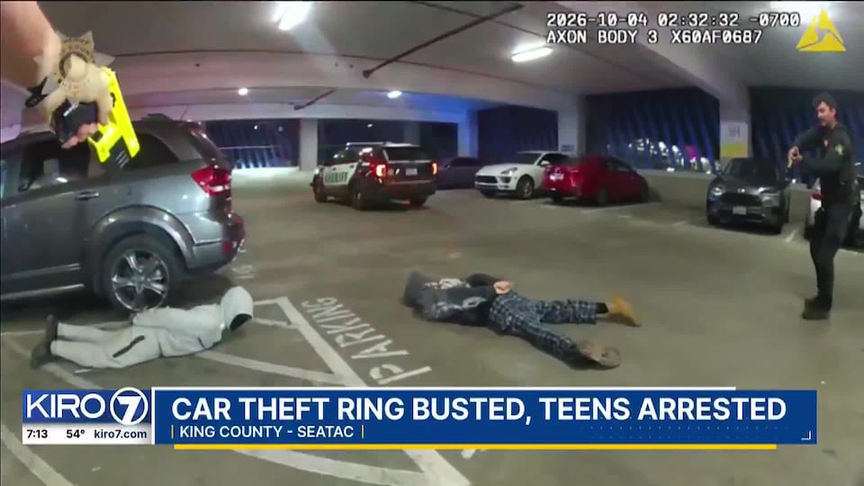Car theft ring busted, teens arrested at a light rail station near SeaTac