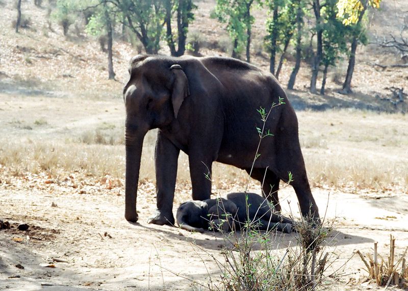 Recall 'Laughing Water', and spare a thought for Planet Earth