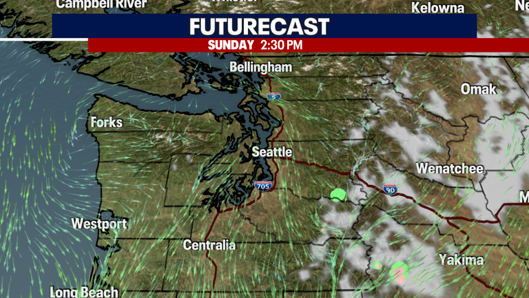 Seattle weather: Sunny and cool Seahawks Sunday
