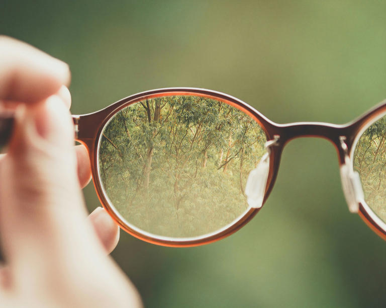 How managing adult vision degradation preserves long-term visual ...