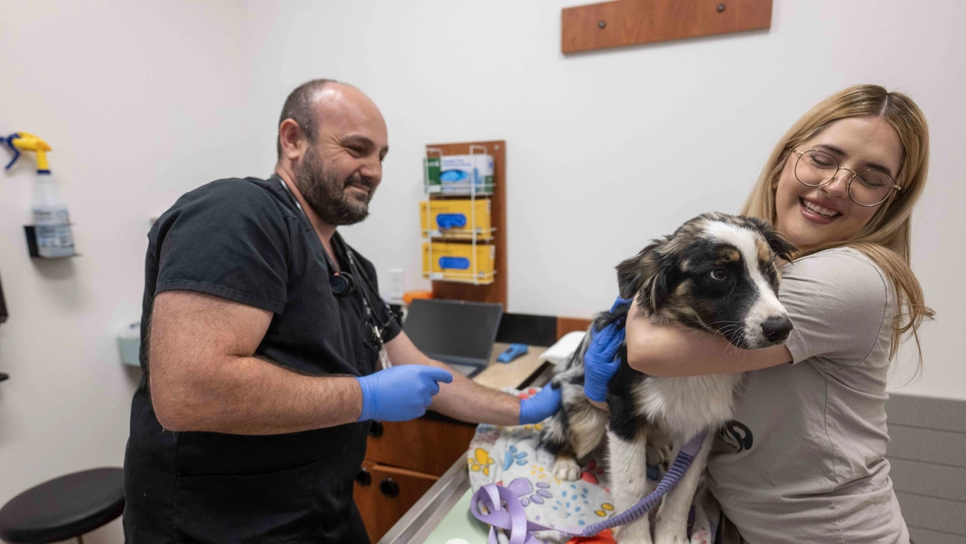 5 key Humane Society initiatives in 2026