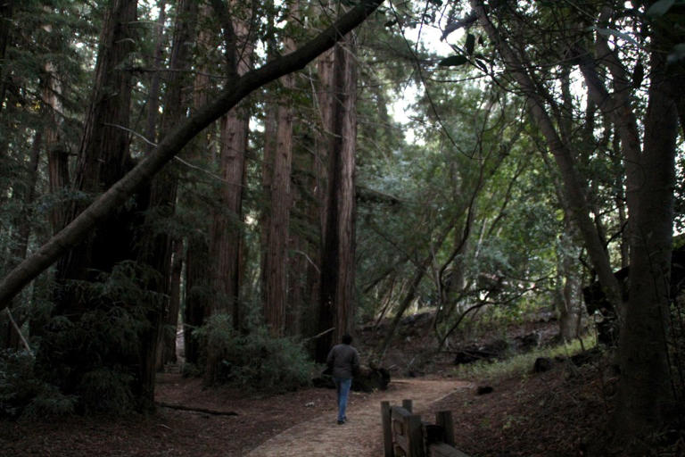 Iconic coastal California state park to finally reopen after ...