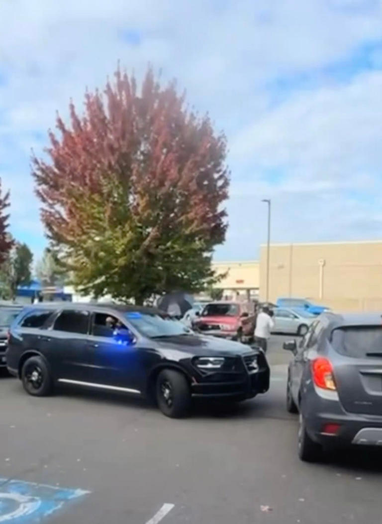 Unhinged lefties attack ICE agents in Oregon parking lot, smash vehicle ...