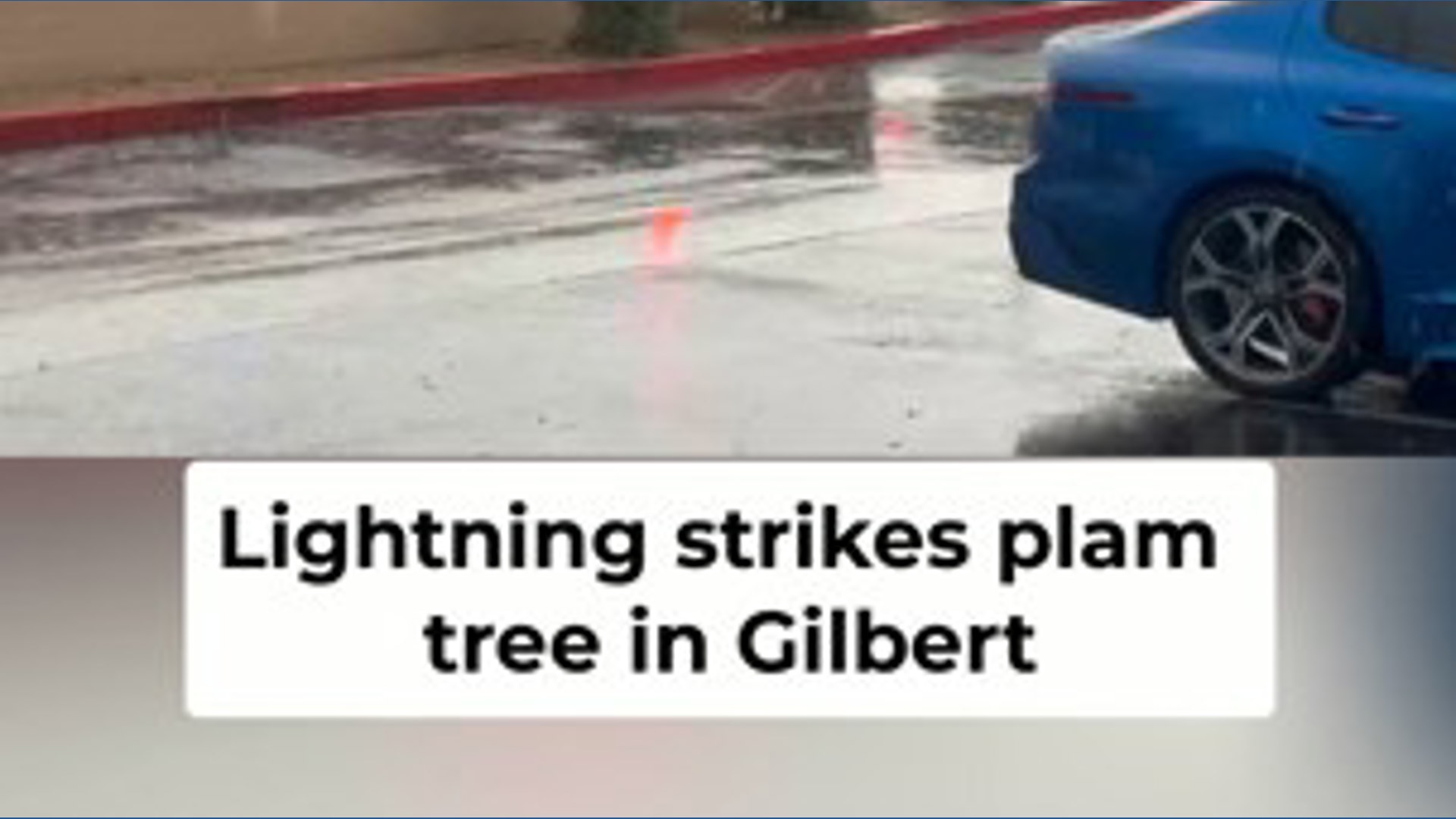 Palm tree struck by lightning in Gilbert