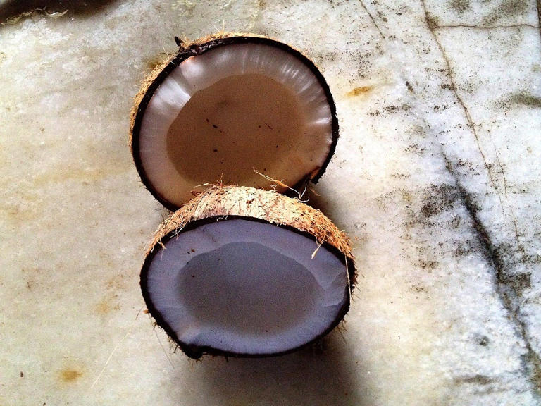 Disney World's tree nut allergy menus can now include coconut